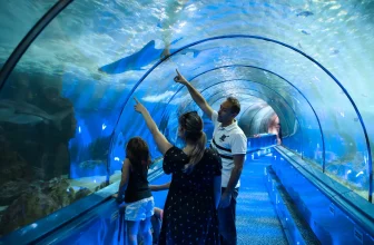 marineland antibes